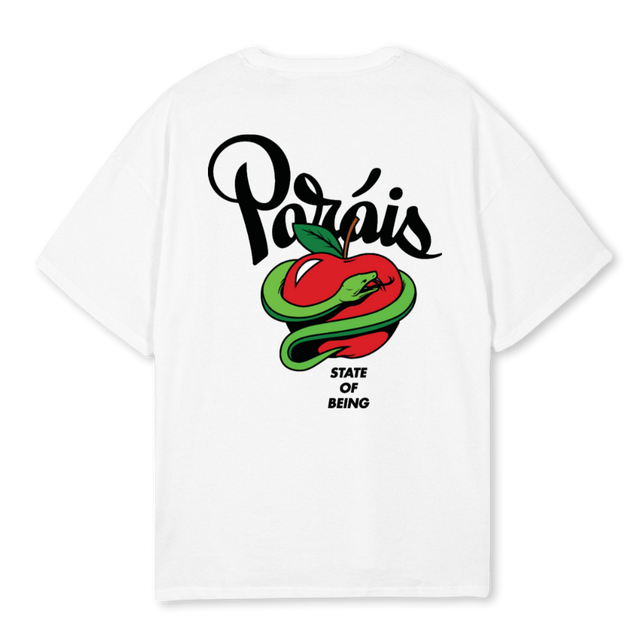 DEVINE PRINCIPLES White Oversized Tee.