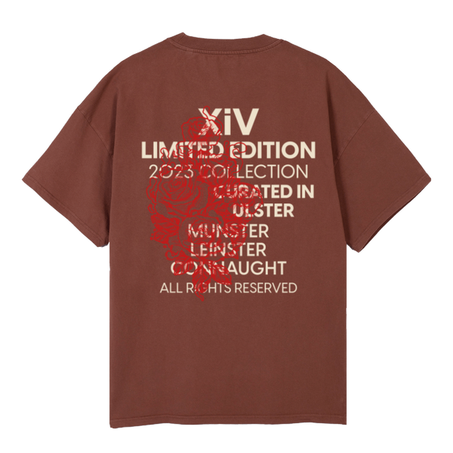 XIV LTD ED BROWN Vintage Brown Oversized Tee.
