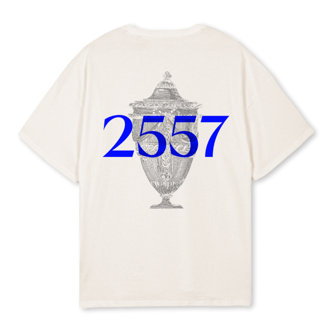 TFFS Vintage White Oversized Tee.