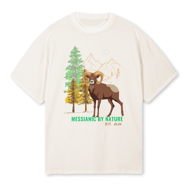 WILDERNESSGREEN Vintage White Oversized Tee.