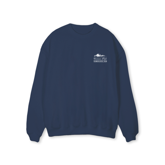 DISTRICT_1  Navy Blue Regular Crewneck Sweater.