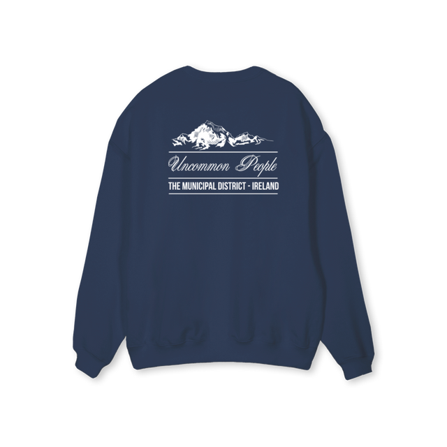 DISTRICT_1  Navy Blue Regular Crewneck Sweater.