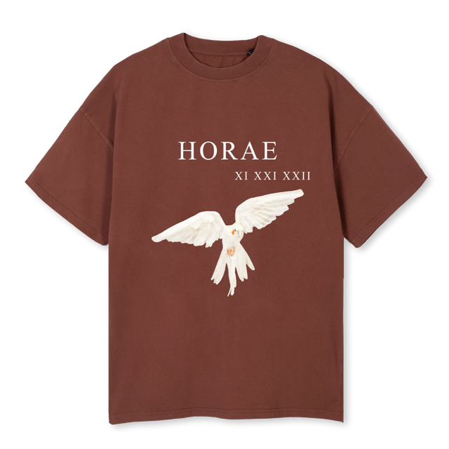 TAKE FLIGHT Vintage Brown Oversized Tee.