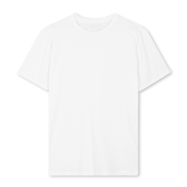 VALENSIA White Regular Tee.